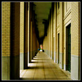 square crop: was it a dream? (303526)