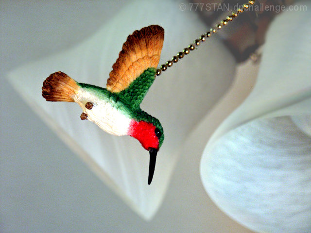 Hummingbird On A Chain