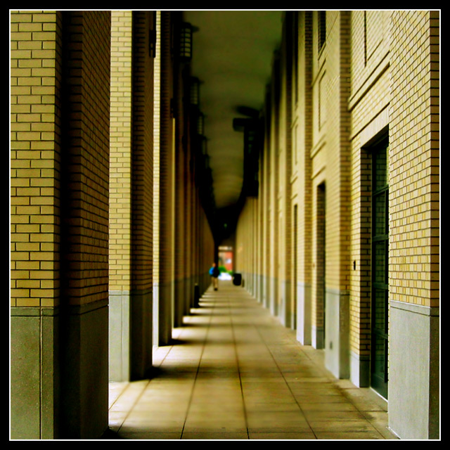 square crop: was it a dream? (303526)