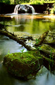 Mossy Rock