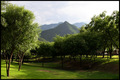 just a park... but i love it!!
