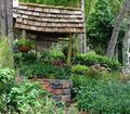 The Wishing Well