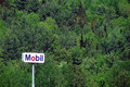 &iquest;Green Energy?