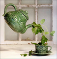 Green Tea