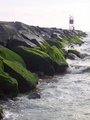 Green By The Sea
