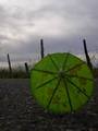 little green umbrella