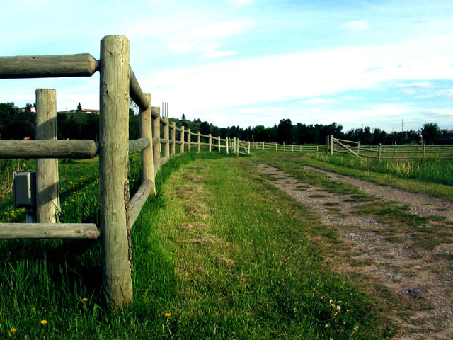 Leading to Nowhere