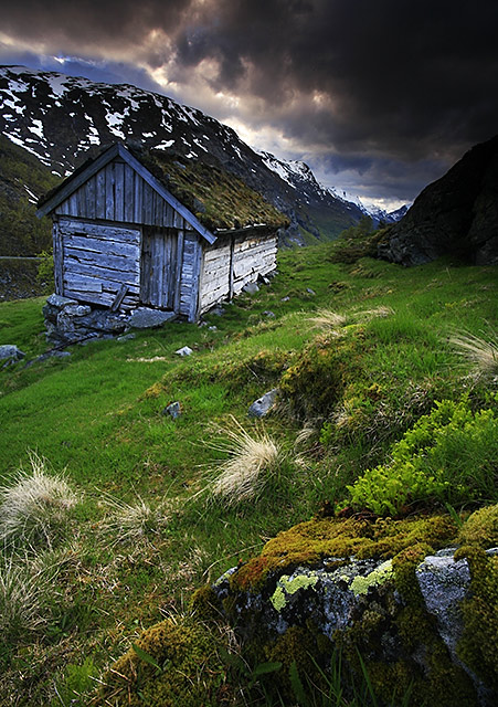 Our Green Country