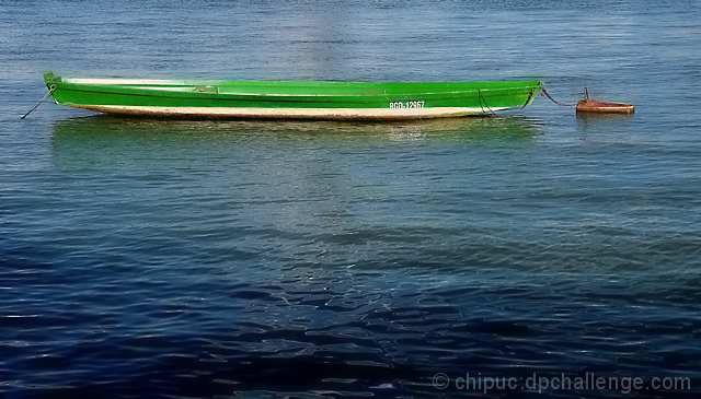 Green Loneliness