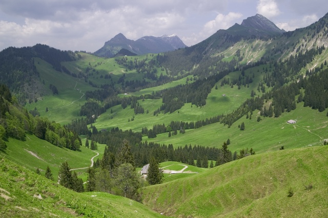 Spring in the mountains