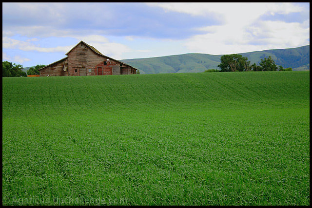 and You fill these fields with praise....