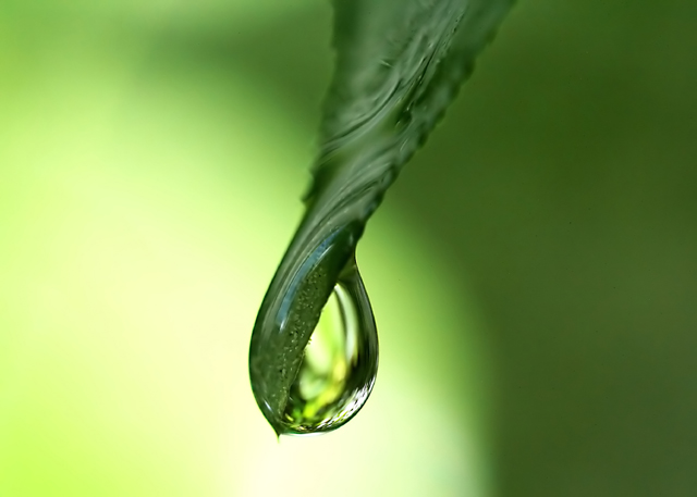 Another Water Drop