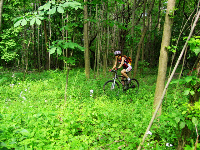 Riding in the Green