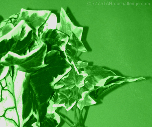 The Light's Green...GO!