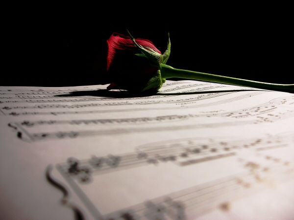 Roses Make Lovely Bookmarks...