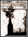 Still Life With Bottle