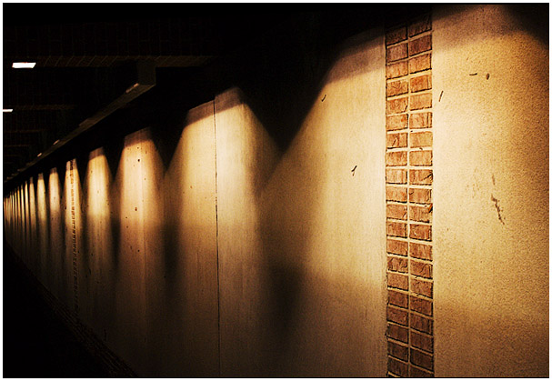 The Wall