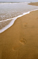 Foot prints in the sand