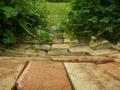 The Pathway