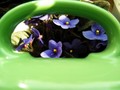 cup of flowers