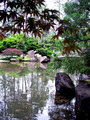 Japanese Gardens