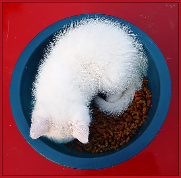 Ying-Yang