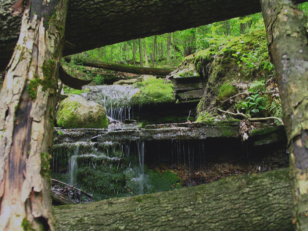 TILTED TOWARD NATURE