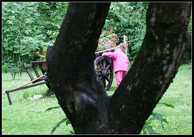 Hide and seek