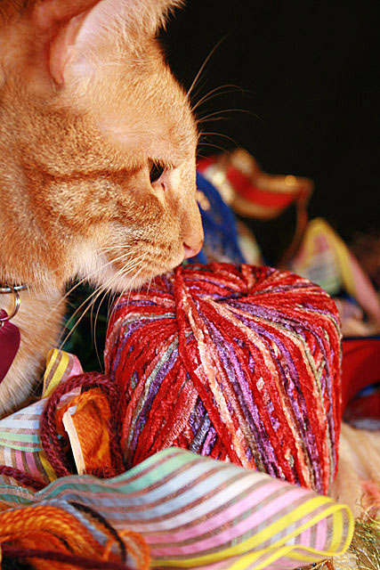 Indulging in yarn