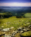 The Backcountry
