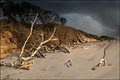 Deserted Island