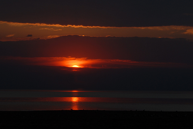 Lonely Beach At Sunset