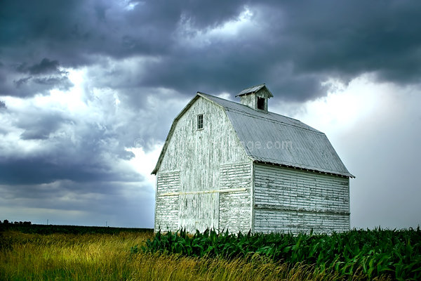 Alone in the Field