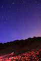 By the Fire Under the Sky