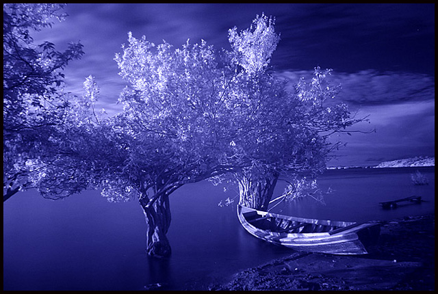 The River's Edge