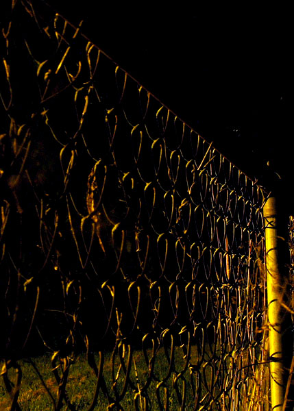 Fencing at Night