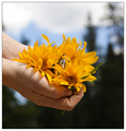 Nature's Touch
