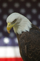 Liberty