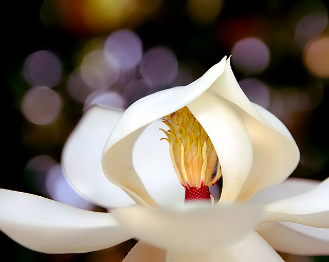 Al Salamu alikom (May you have peace)