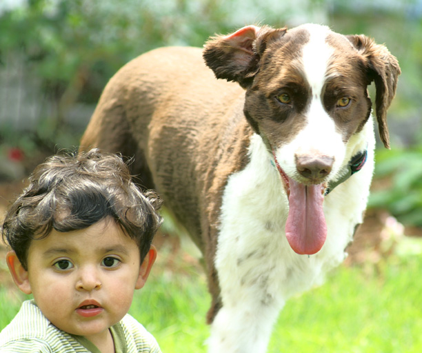 Tony and his 3-legged dog