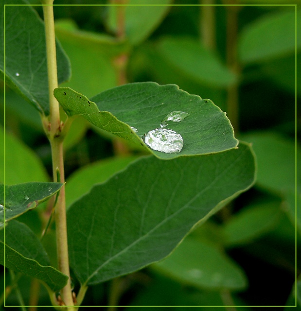 After the Rain