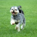 Baby We Were Born To Run!