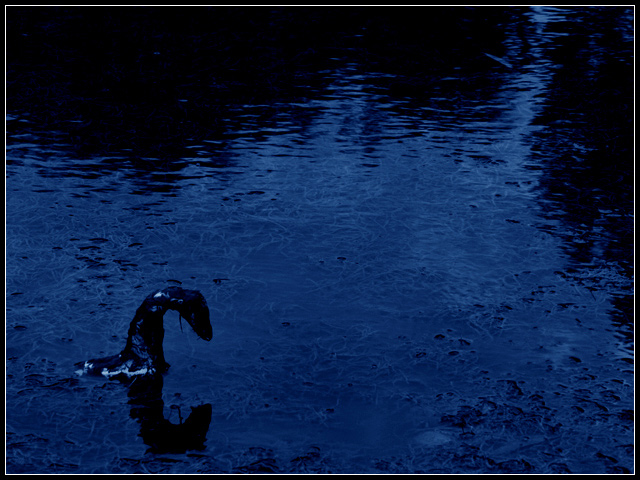 In Search of the Loch Ness Monster