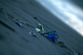 Sea Glass