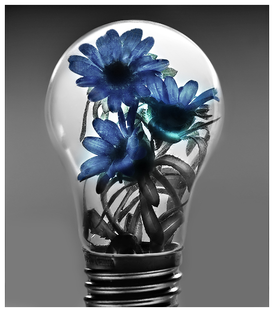 Flower Power