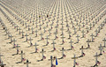 Arlington on the Beach