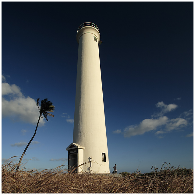 All Along The Watchtower