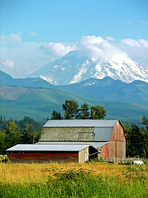 Hoping this volcano doesn't move (unlike nearby St Helens)