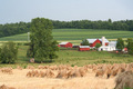 Wheat Shocks
