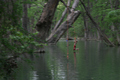 The Swimming Hole